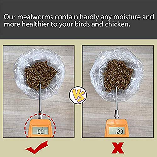 HANDPOINT 10 lbs Dried Mealworms, 100% Non-GMO Natural High-Protein,Treats for Chicken, Fish, Bird Food (10LB)